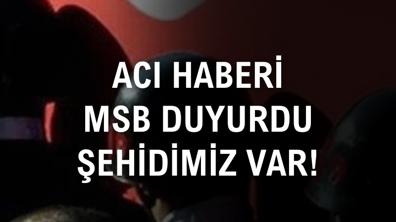 Acı haberi MSB duyurdu: Şehidimiz var!